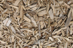 biomass boilers Rollestone